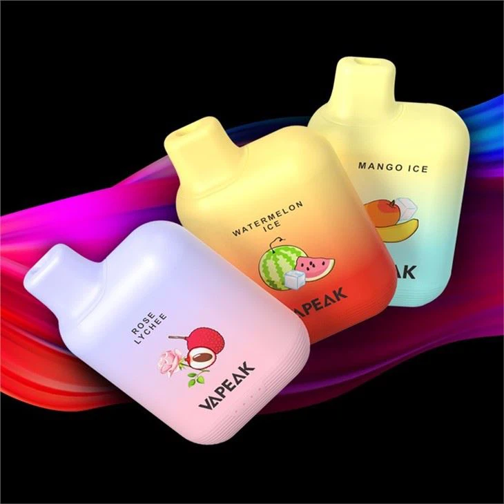 5000 Puffs Rechargeable Disposable Vape