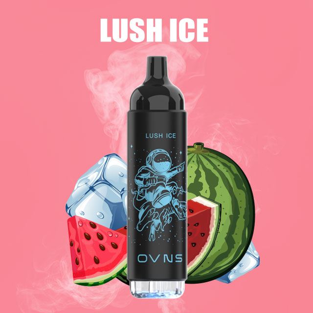 Jednorázový vaporizér