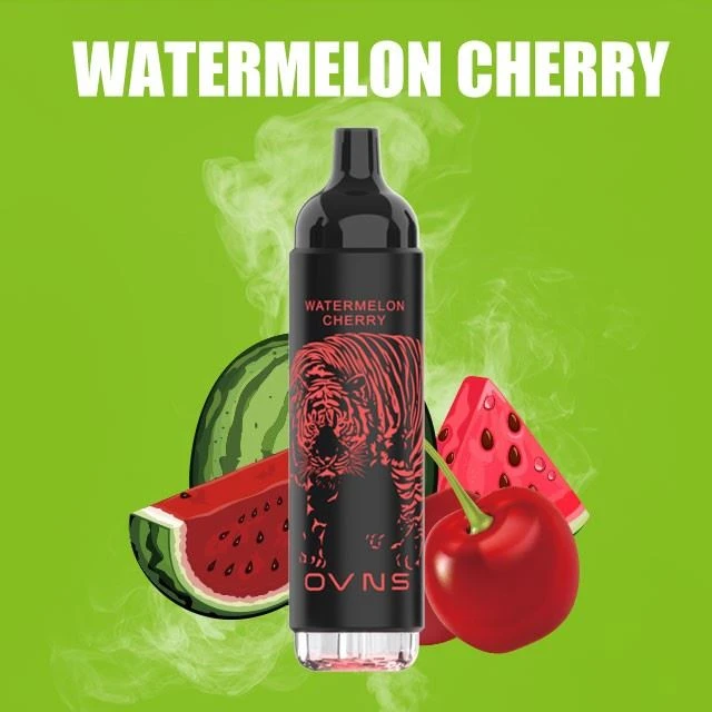 OVNS 2500 Puff Vape Pod