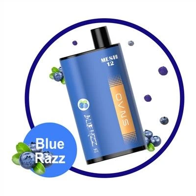 BLUEBERRY RASPBERRY Nic SALT Jednorázové zařízení