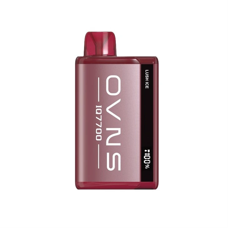 Screen Display Disposable Vape Screen Display Disposable Vape