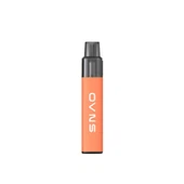 Prázdné jednorázové Vape Pen 2ML